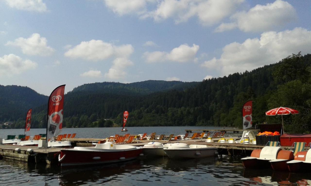 Studio Hauteur Gerardmer Bagian luar foto
