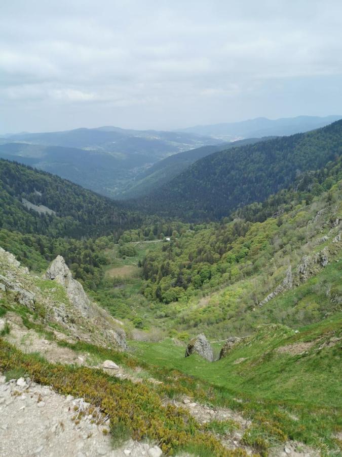 Studio Hauteur Gerardmer Bagian luar foto