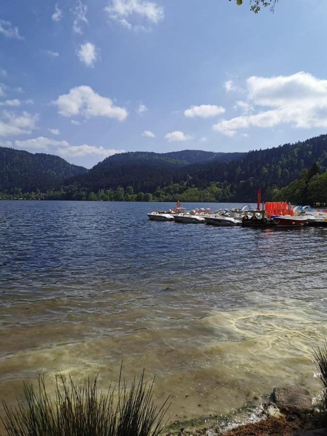 Studio Hauteur Gerardmer Bagian luar foto